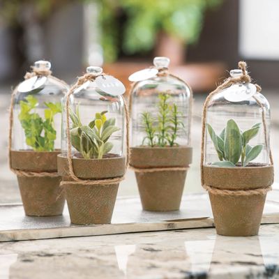 Mini Cloche Potted Faux Herb Set of 4