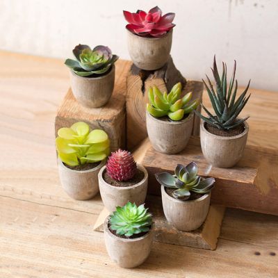 Miniature Artificial Succulent Set of 8