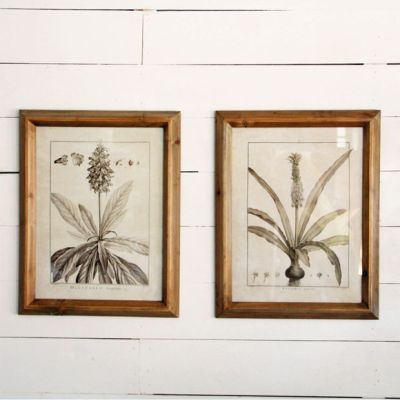 Monochrome Botanical Wall Art, Set of 2