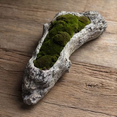 Mossy Faux Bois Cement Log 16 Inch