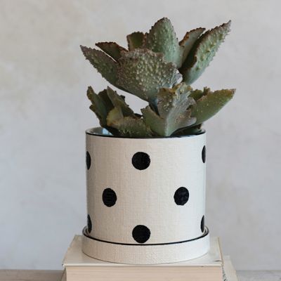 Painted Polka Dot Planter with Saucer