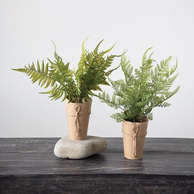 Paper Potted Faux Fern Plants Set of 2