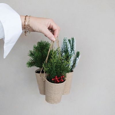 Paper Potted Festive Greenery Set of 3