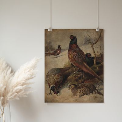 Pheasant Flat Canvas Print Wall Art