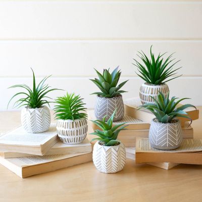 Potted Artificial Succulent Collection Set of 6
