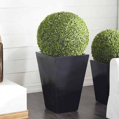 Potted Boxwood Ball Topiary