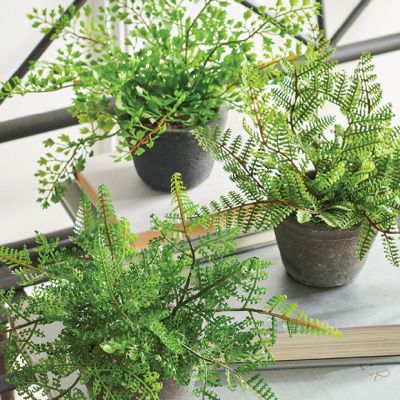 Potted Faux Fern Decor Set of 3