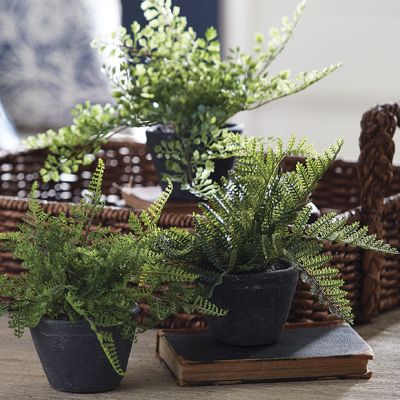 Potted Faux Fern Decor Set of 3