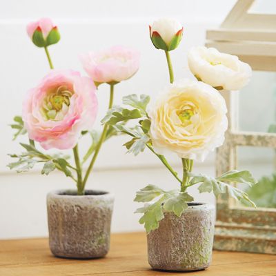 Potted Faux White Ranunculus Stems Set of 2