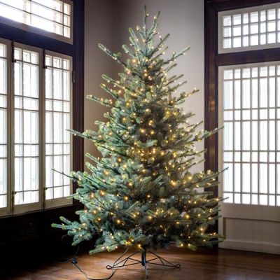 Pre Lit LED Blue Spruce Christmas Tree