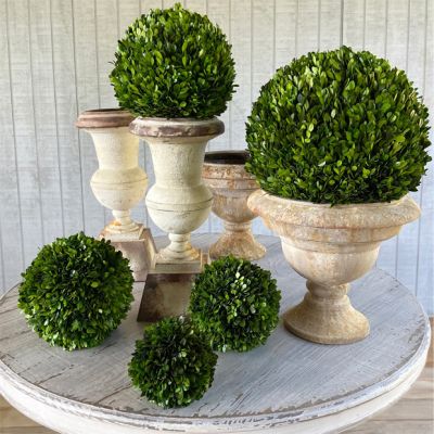 Preserved Boxwood Decorative Ball