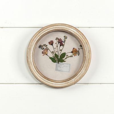 Pressed Florals Round Framed Wall Art