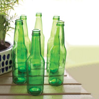 Recycled Glass Bottle Vase Collection Set of 6