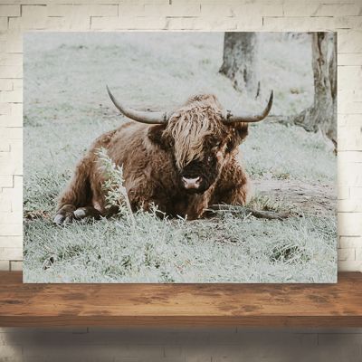 Resting Highland Cow Print Wall Art