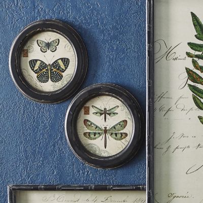 Round Framed Dragonfly Wall Decor Set of 2