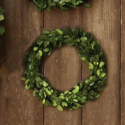 Round Preserved Boxwood Wreath 6 Inch