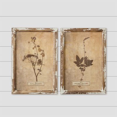Rustic Chic Framed Botanical Prints Set of 2