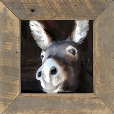 Rustic Framed Donkey on the Farm Wall Art