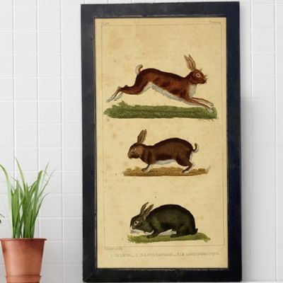 Rustic Framed French Rabbit Trio Wall Art