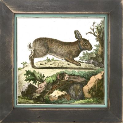 Rustic Framed Hare In The Woods Wall Art
