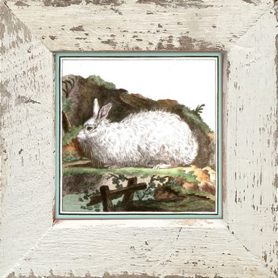 Rustic Framed Vintage White Bunny Wall Art