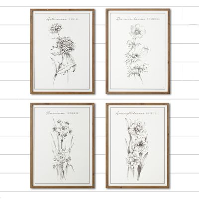 Simple Farmhouse Botanical Print Collection Set of 4