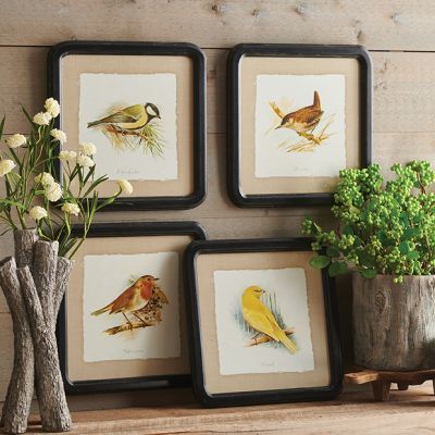 Simple Framed Bird Print Set of 4