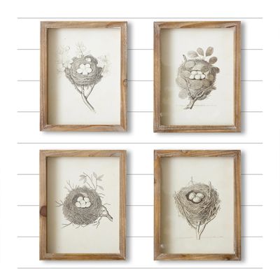 Simply Charming Framed Bird Nest Prints Set of 4