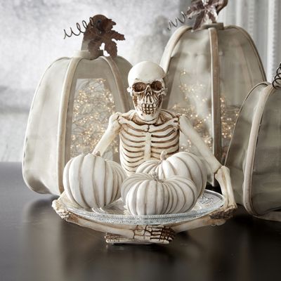 Skeleton Decor With Glass Plate