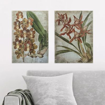 Spiced Orchid Canvas Print Set of 2