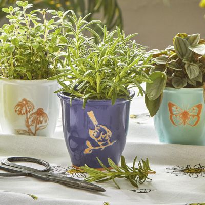 Springtime Herb Planter Pot Set of 5