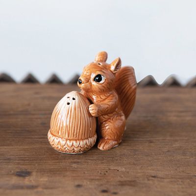 Squirrel With Acorn Salt and Pepper Shaker Set