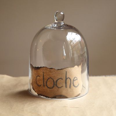 Traditional Glass Cloche