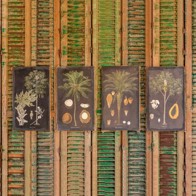 Tropical Trees Burlap Print Collection Set of 4