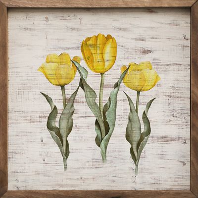 Tulip Trio Wall Art