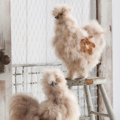 Two Tone Silky Feathered Chicken Set of 2