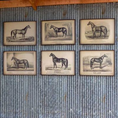 Vintage Inspired Race Horse Prints Set of 6