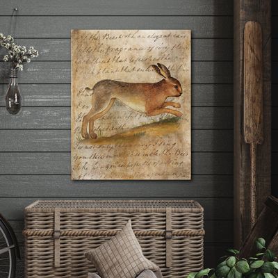 Vintage Rabbit 3 Canvas Wall Art
