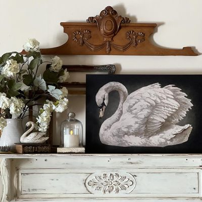 Vintage Swan Print Canvas Wall Art