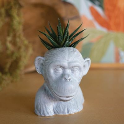 Washed Ceramic Monkey Head Planter