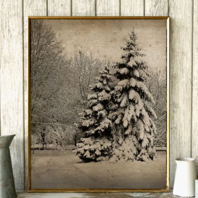 Winter Pines Unframed Wall Print