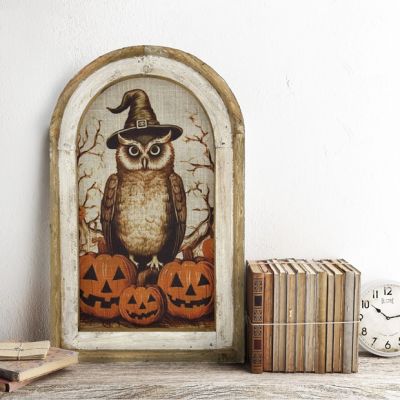 Witch Owl Framed Linen Fall Wall Art