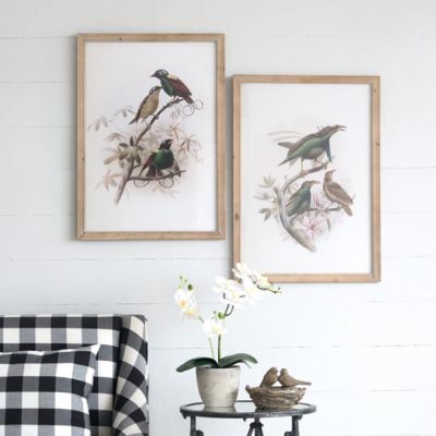 Wood Framed Bird Print Set of 2
