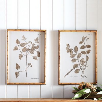 Wood Framed Botanical Print Set of 2