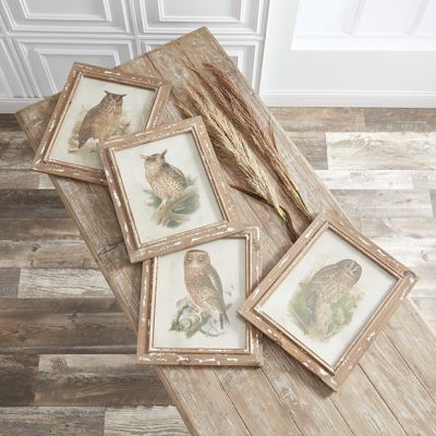 Wood Framed Owl Print Collection Set of 4