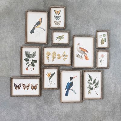 Woodland Charms Framed Wall Decor Collection Set of 12