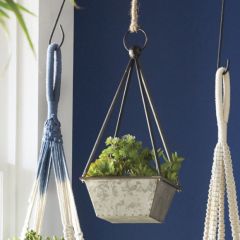 Square Metal Base Planter