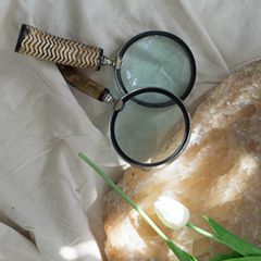 Decorative Handle Magnifying Glass Set of 6