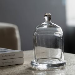 Simple Petite Lidded Glass Plate