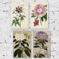 Botanical Floral Canvas Wall Art